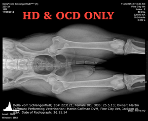 Orthopedic Evaluation Fee (HD & OCD)